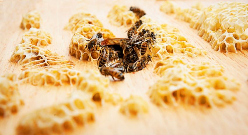 رولز-رويس تربي النحل وتنج العسل