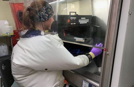 هل تقضي الأشعة فوق البنفسجية على فيروس كورونا