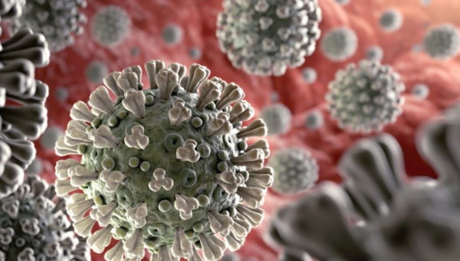 مياه الصرف الصحي المعالجة خالية من كوفيد-19