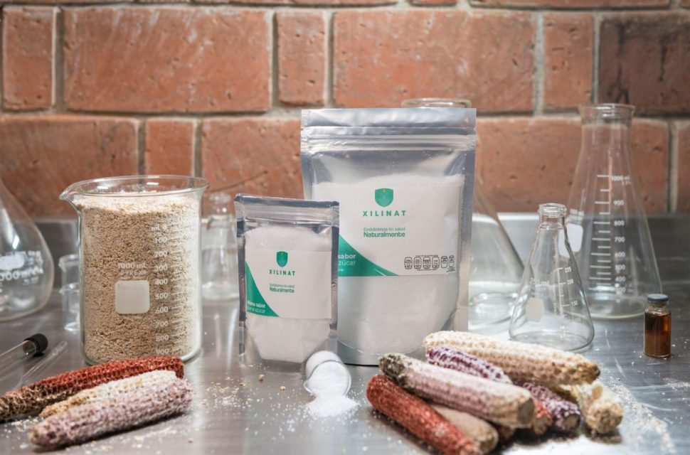 تحدي الغذاء الصحي