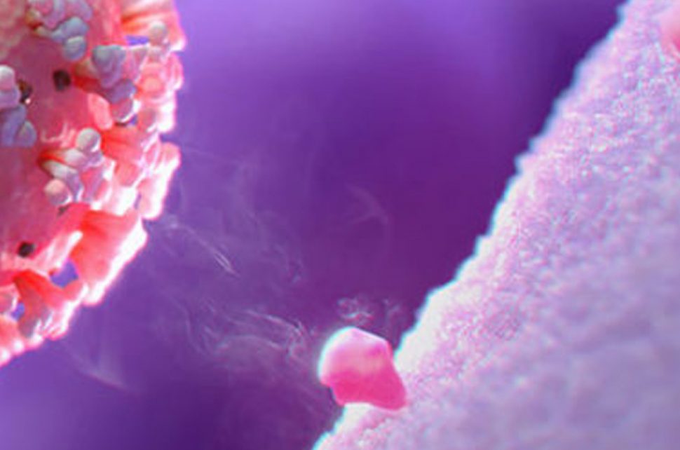 لقاحات فيروس كورونا عبر الانترنت