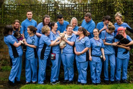 مبادلة تستثمر في الرعاية البيطرية