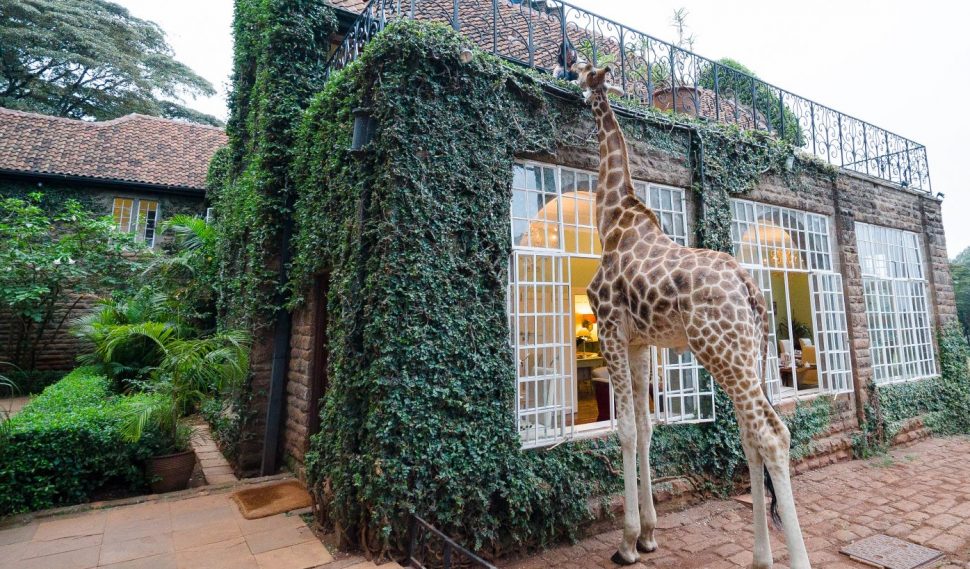 كينيا احدى وجهات السفر المفضلة للاماراتيات