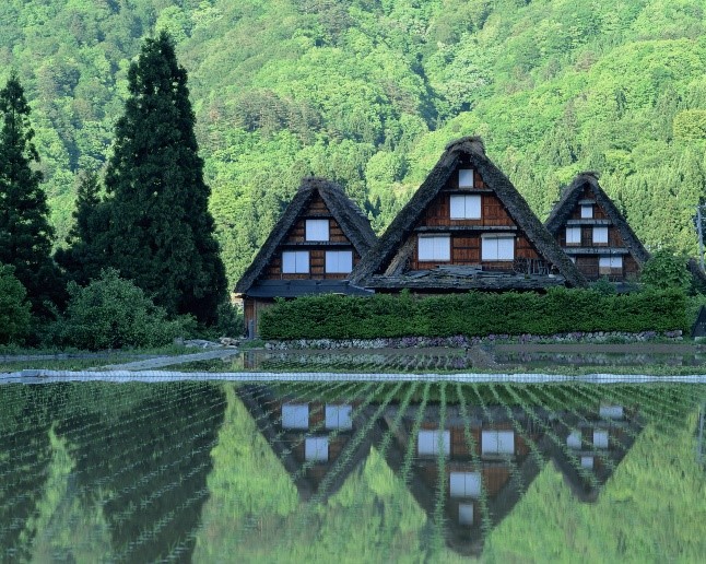 شيراكاوا- جو-اليابان